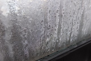 photo-20160120-4