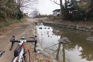 photo-20160206-1