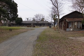 photo-20160206-2