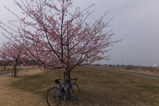 photo-20160305-1
