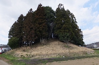 photo-20160321-1