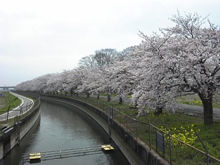photo-20160403-1