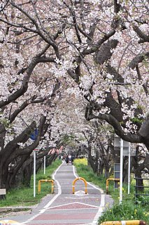 photo-20160410-5