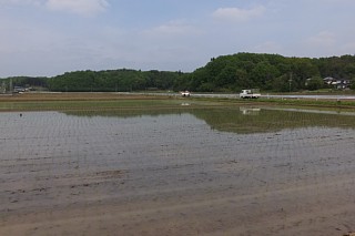 photo-20160423-3