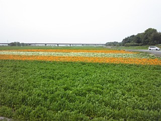 photo-20160503-2