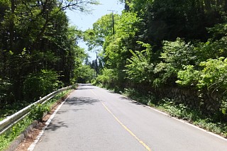 photo-20160505-1