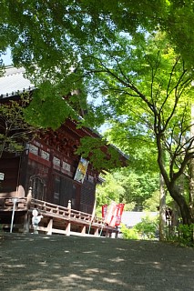 photo-20160505-6