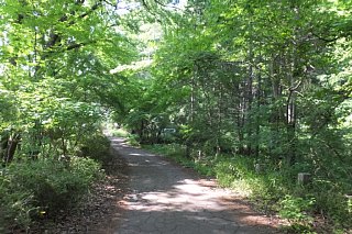 photo-20160515-7