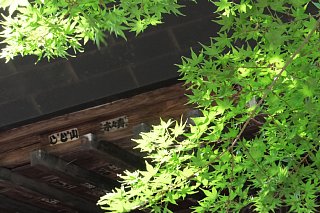 photo-20160522-10