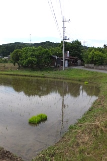 photo-20160605-5