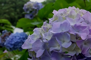 photo-20160619-3