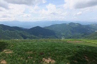 photo-20160710-2
