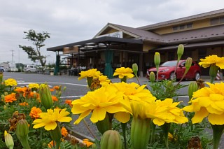 photo-20160723-1