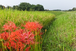 photo-20160917-2