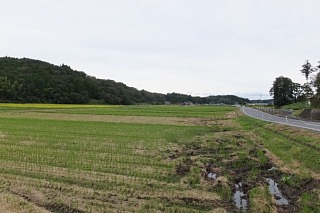 photo-20161009-1