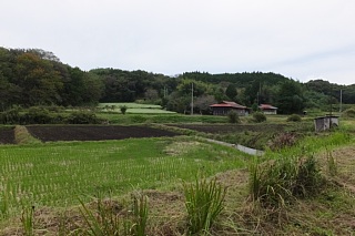 photo-20161009-3