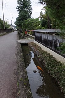 photo-20161009-7