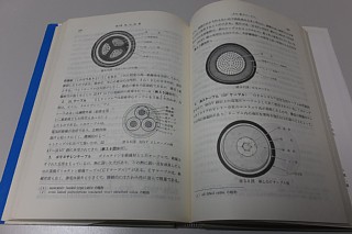 photo-20161013-1