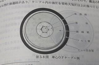 photo-20161013-3
