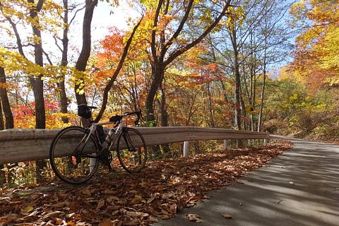 photo-20161030-1
