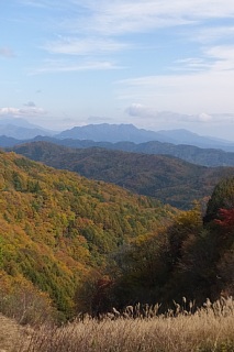 photo-20161031-11