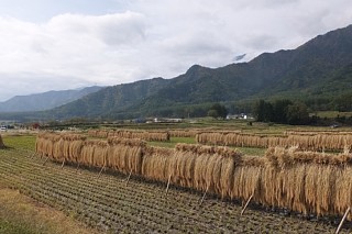 photo-20161031-2