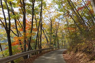 photo-20161031-8