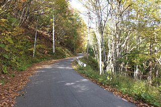 photo-20161031-9