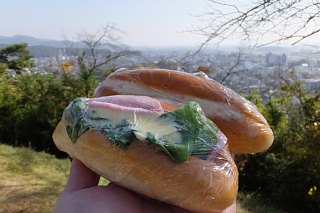 photo-20161113-2