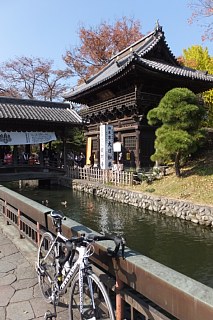 photo-20161113-3