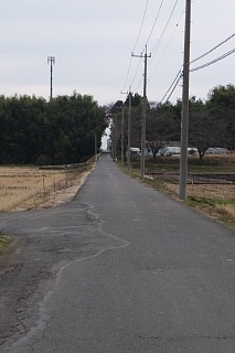 photo-20161205-10