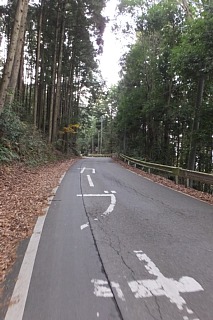 photo-20161205-13