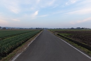 photo-20161205-14