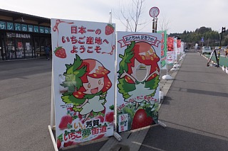 photo-20161205-2