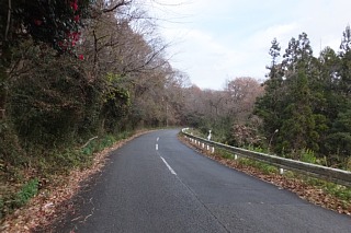 photo-20161205-4