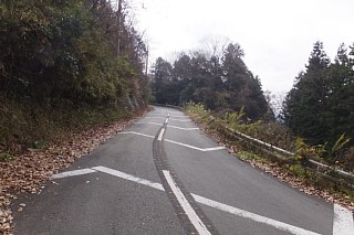 photo-20161205-5