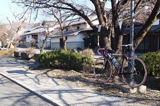 photo-20161218-1