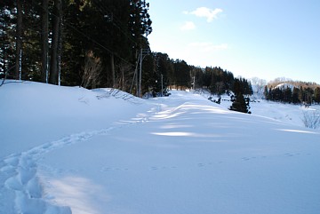 photo-20170204-2