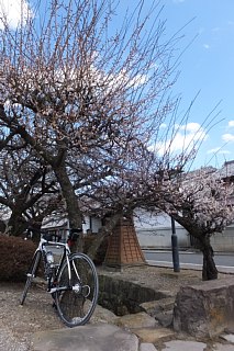 photo-20170225-1