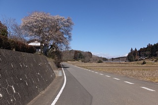 photo-20170226-1