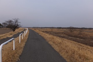 photo-20170306-11