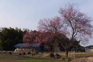 photo-20170312-5