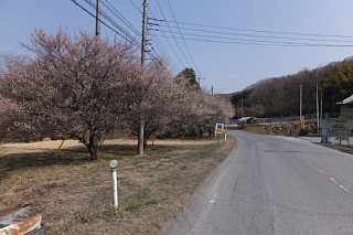 photo-20170321-8