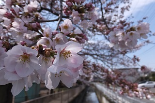 photo-20170402-1