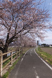 photo-20170417-10