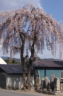 photo-20170417-11