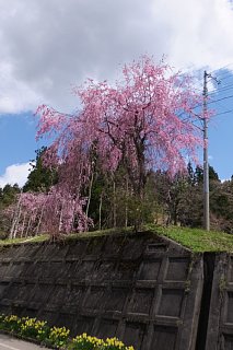 photo-20170424-6
