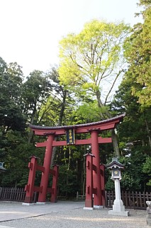 photo-20170430-8