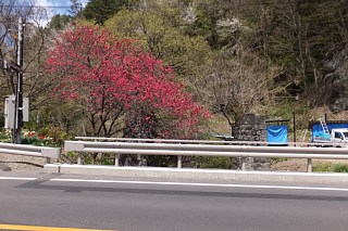 photo-20170505-3