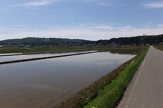 photo-20170515-1